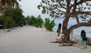 A love that felt written in the sky, but ended in silence.