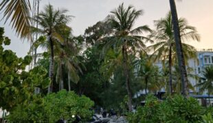 The Love That Lives Even in Our Separation