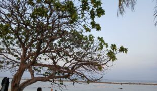 I Choose You in All the Places I Cannot Have You