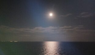 The Pain That Became My Home