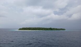 A Conversation That Asked for Truth