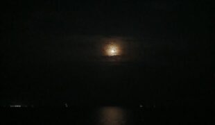 The Night The Snow Fell, and You Walked Out Of My Story