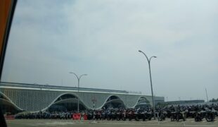 When the Stars Learn Our Names