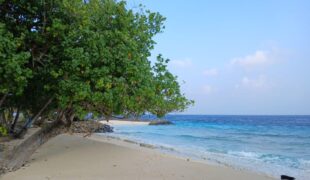 Listen to What Was Never Said Aloud