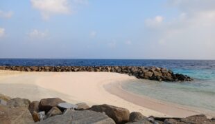 If I Knew What the Future Held