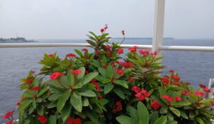 Day 19 - Beauty continues