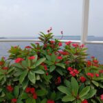 Day 19 - Beauty continues