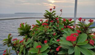 Day 20 — the sun sets