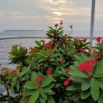 Day 20 — the sun sets