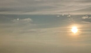 Since September-sandra-rain-moore